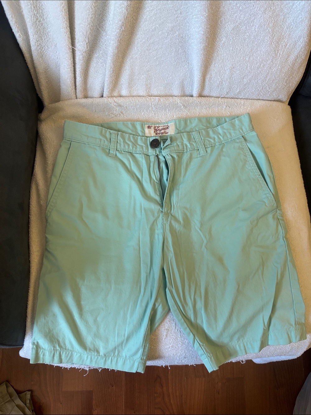 Penguin by Unsing Wear Men's Aqua Cotton Flat-Front Shorts